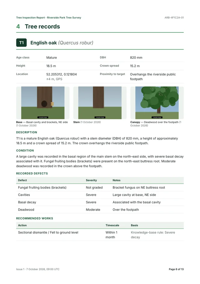 Tree record for T1, English oak: dimensions and location, base, stem and canopy photographs, description, condition, a table of recorded defects with severity, and recommended works with their basis.