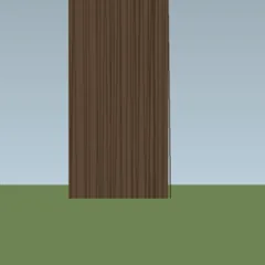 Stem photograph of tree T4
